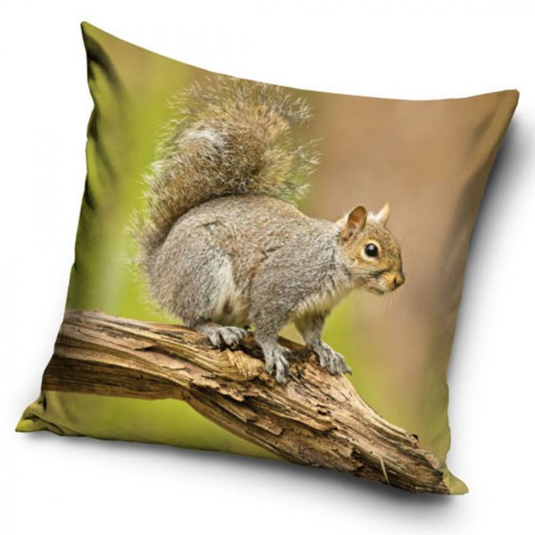 Orava sohvatyynyn päällinen